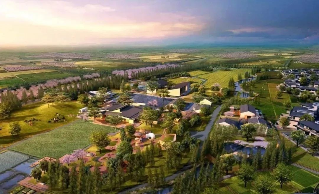 全文！鄉村建設行動實施方案