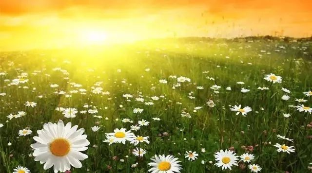 農業農村部：鄉村振興5年內投7萬億