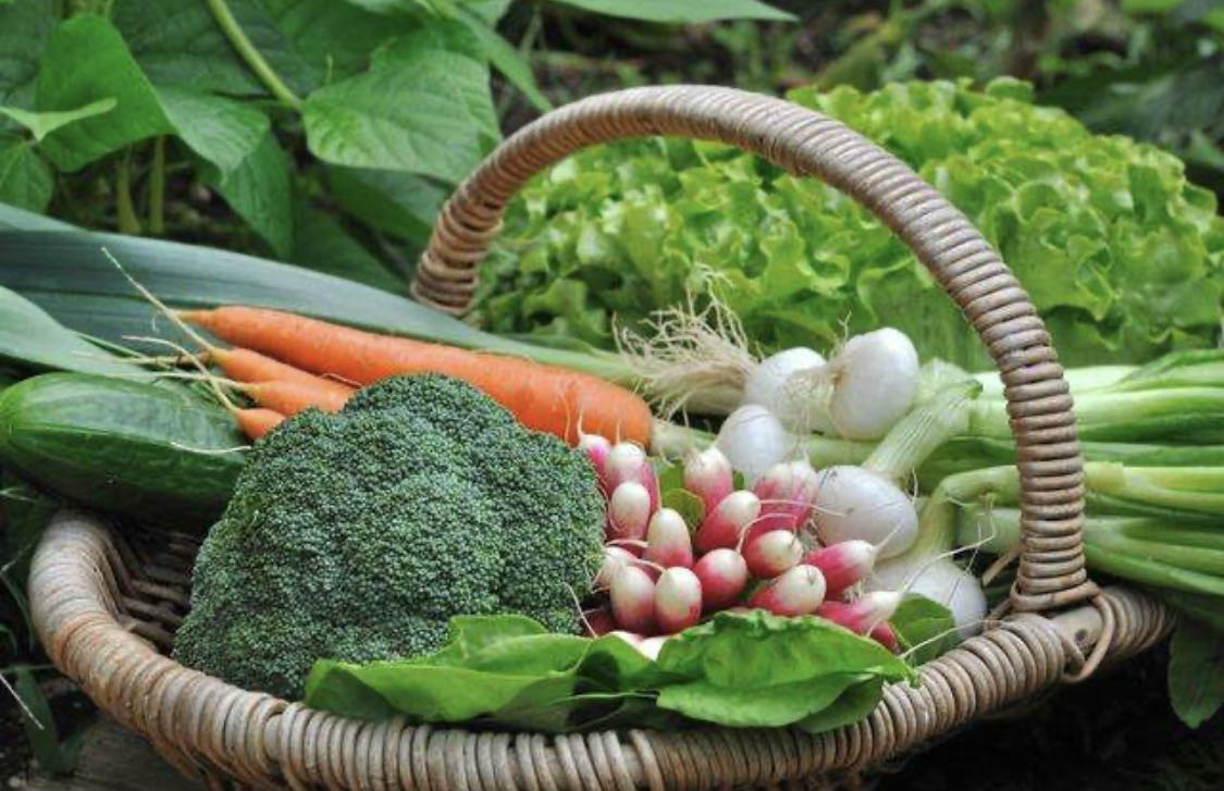 進(jìn)一步壓實“菜籃子”市長負(fù)責(zé)制